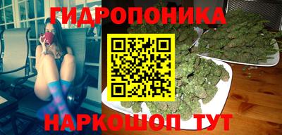 крисы Берёзовский