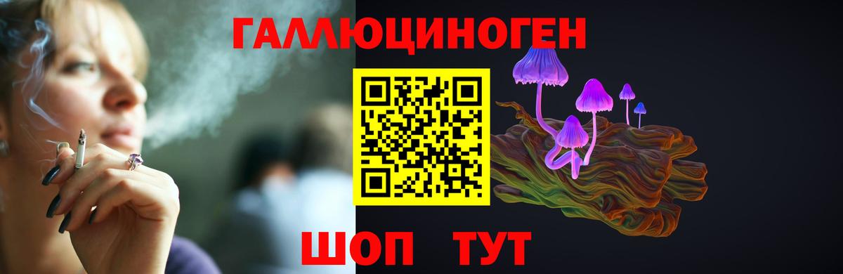 Камень-на-Оби  Псилоцибиновые грибы Psilocybine cubensis  продажа наркотиков  Вход с VPN 
